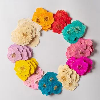 120 adet Preslenmiş Kurutulmuş Boya Rosa rugosa alba Çiçek Herbaryum Epoksi Reçine Takı Yapımı İçin Yer İmi Yüz Makyaj Tırnak Sanat zanaat