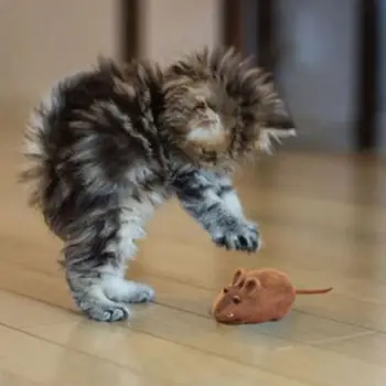 Dropshipping!! Sevimli sahte küçük fare gıcırtı gürültü ses sıçan oyun oyuncak Evcil kediler köpekler için