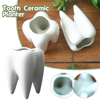 Mini Diş Şekli Etli Saksı Sırlı Küçük Ekici Pot Macetas Para Plantas Beyaz Bahçe Aksesuarları Dekoratif Saksılar